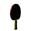 best ping pong paddle for beginners taiji 210