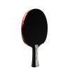 TAIJI 510 table tennis bat 5 star (1)