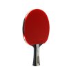 TAIJI 510 table tennis bat 5 star (1)