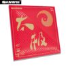 Taiji Plus