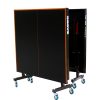 SANWEI Table
tennis table-Andes Shadow-indoor table tennis table