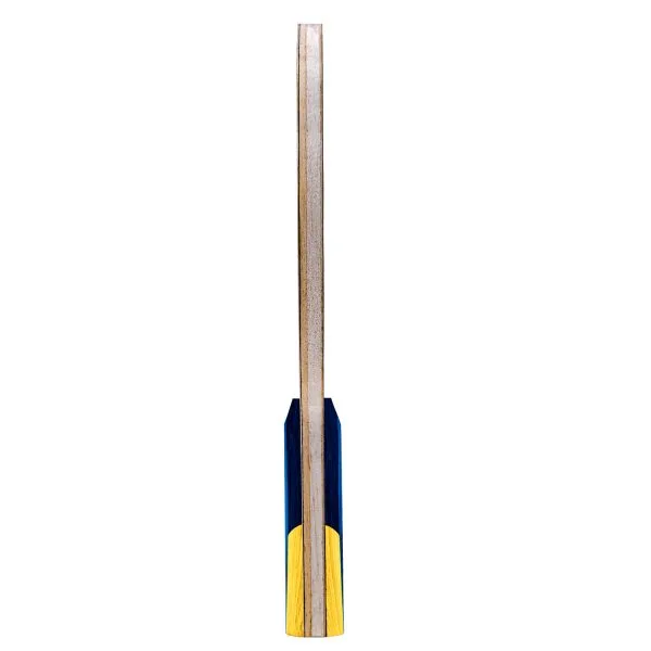 TWO FACE ALC Asymmetrical Structure Table Tennis Blade (9)